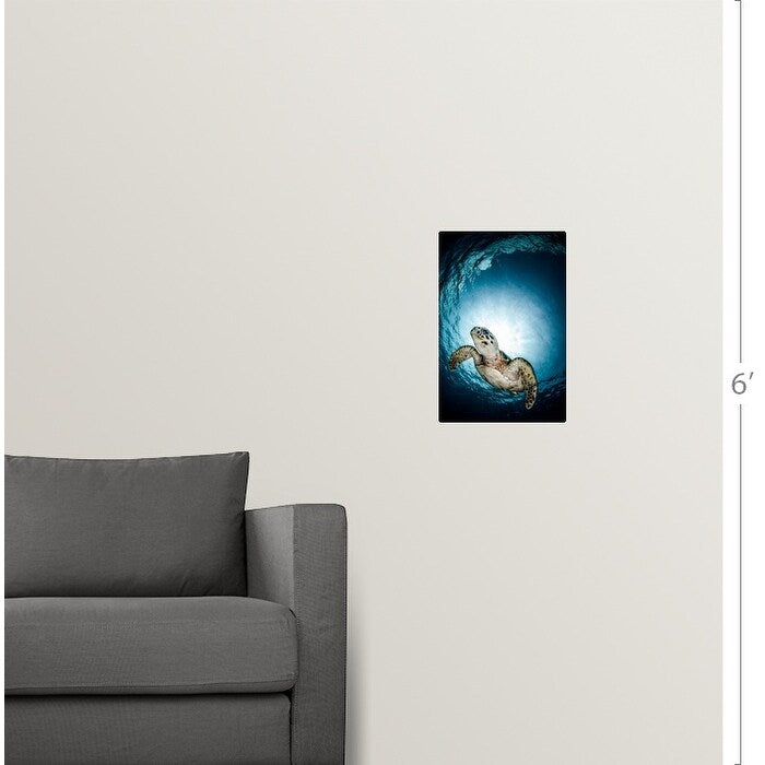 "Cayman Sun ball turtle" Poster Print - Multi