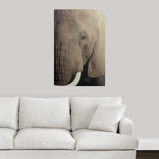 Poster Print entitled Close-up of African Elephant's face - Multi