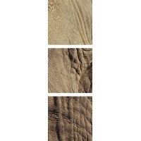 Poster Print entitled Close-up of African Elephant's face - Multi