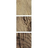 Poster Print entitled Close-up of African Elephant's face - Multi