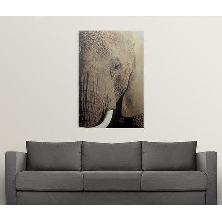 Poster Print entitled Close-up of African Elephant's face - Multi