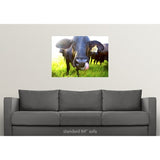 "Close-up of cow with tongue up its nose" Poster Print - Multi