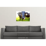 "Close-up of cow with tongue up its nose" Poster Print - Multi