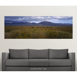 "Cows grazing in a field, Bishop, California" Poster Print