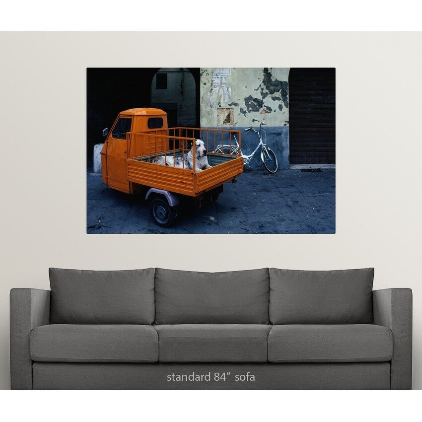 "Great Dane dog in the back of tiny orange 3-wheeled truck in Lucca, Tuscany, " Poster Print - Multi