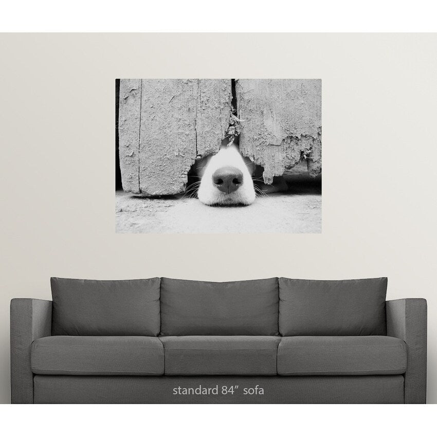 "Hunting puppy pokes nose out from under the barn door." Poster Print - Multi
