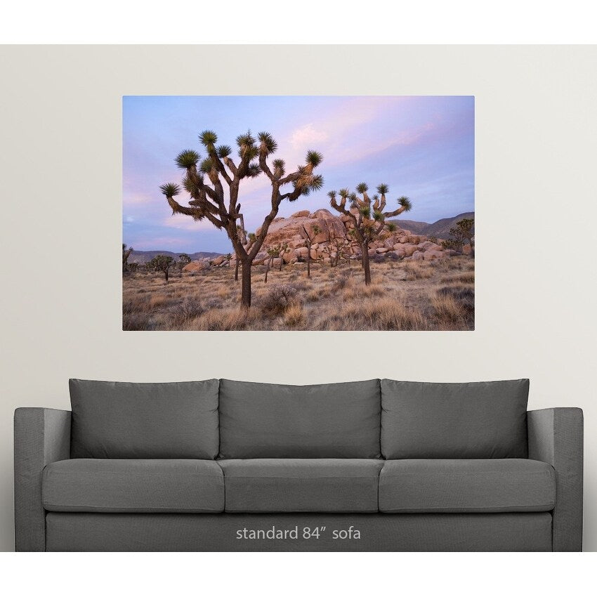 "Joshua Trees" Poster Print
