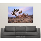 "Joshua Trees" Poster Print