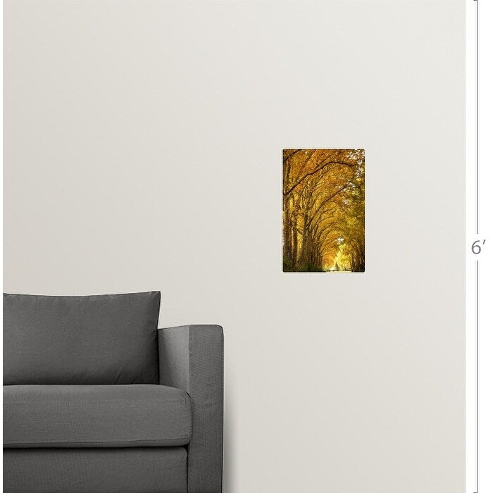 "Lane of plane trees." Poster Print - Multi
