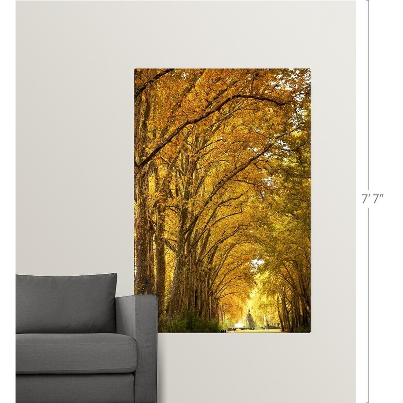 "Lane of plane trees." Poster Print - Multi