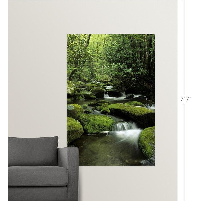 "Mountain stream, Great Smoky Mountains National Park, Tennessee" Poster Print - Multi