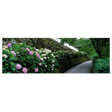 "Old Wall with Hydrangea Hasedera-sando Sakurai Nara Japan" Poster Print