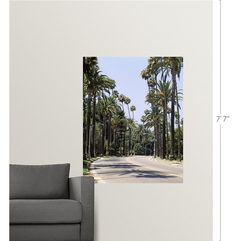"Palm trees along a road, City of Los Angeles, California" Poster Print - Multi