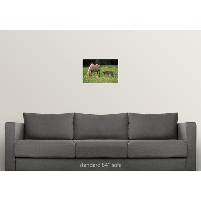 Palomino Mare with foal grazing in meadow - Multi