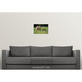 Palomino Mare with foal grazing in meadow - Multi