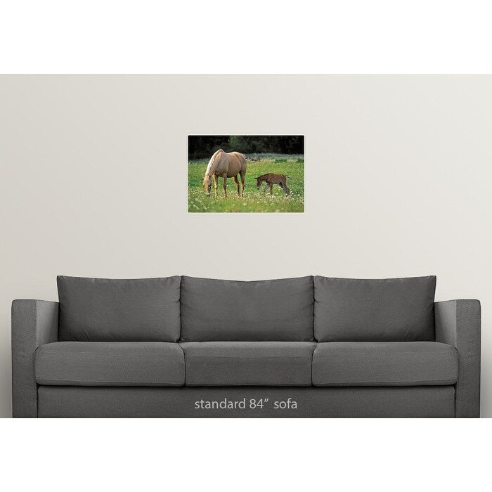 Palomino Mare with foal grazing in meadow - Multi