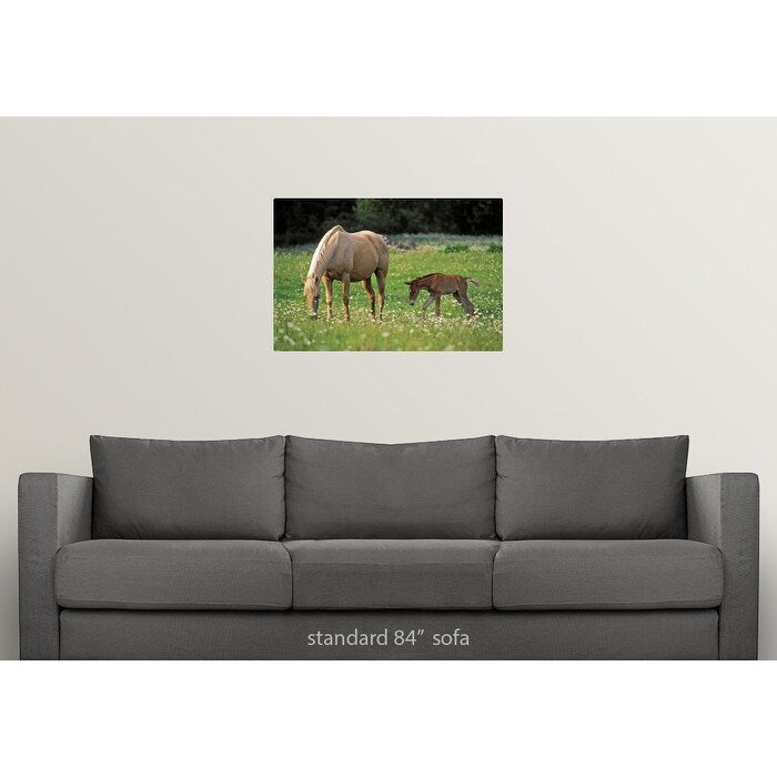 Palomino Mare with foal grazing in meadow - Multi