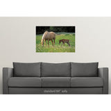 Palomino Mare with foal grazing in meadow - Multi