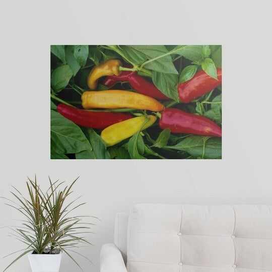Poster Print entitled Pepper, var. 'Hot Wax', ripe chilies on plant - Multi