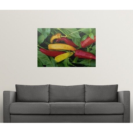 Poster Print entitled Pepper, var. 'Hot Wax', ripe chilies on plant - Multi