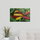 Poster Print entitled Pepper, var. 'Hot Wax', ripe chilies on plant - Multi