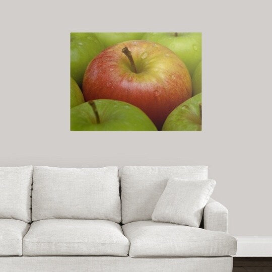 Poster Print entitled Red and green apples (Malus Gala and Granny Smith) - Multi