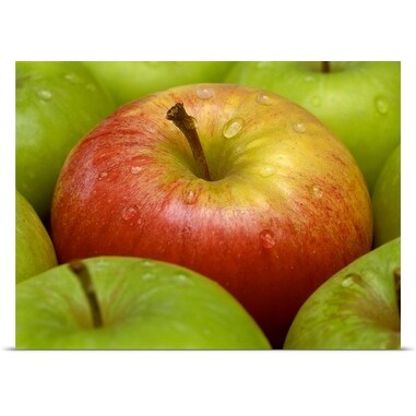 Poster Print entitled Red and green apples (Malus Gala and Granny Smith) - Multi