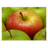 Poster Print entitled Red and green apples (Malus Gala and Granny Smith) - Multi