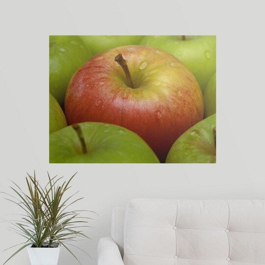 Poster Print entitled Red and green apples (Malus Gala and Granny Smith) - Multi