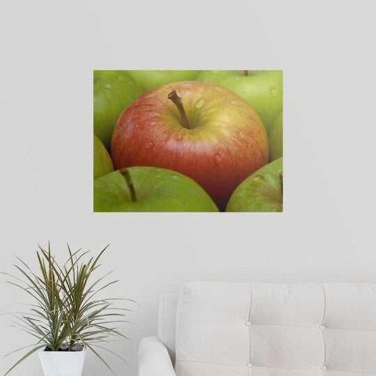 Poster Print entitled Red and green apples (Malus Gala and Granny Smith) - Multi