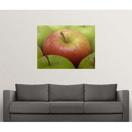 Poster Print entitled Red and green apples (Malus Gala and Granny Smith) - Multi