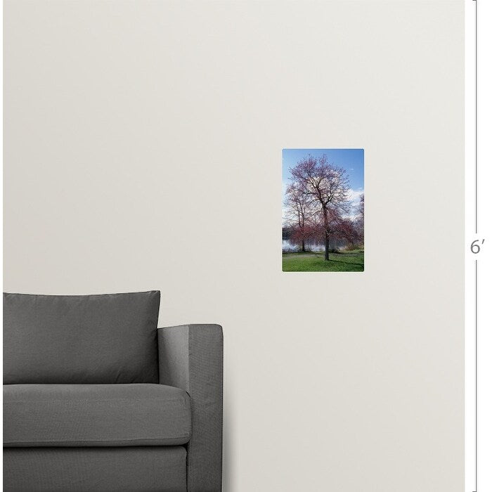 "Red maple tree (Acer rubrum) budding in spring, New York" Poster Print - Multi