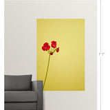 "Single geranium flowers on yellow background." Poster Print - Multi