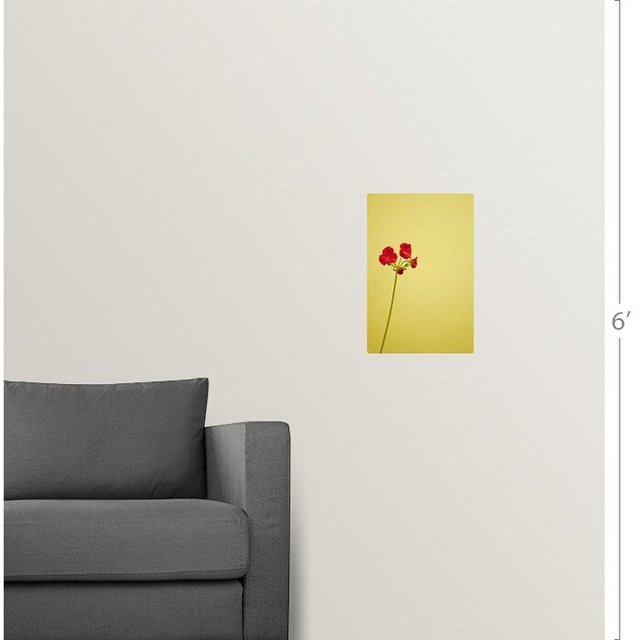 "Single geranium flowers on yellow background." Poster Print - Multi