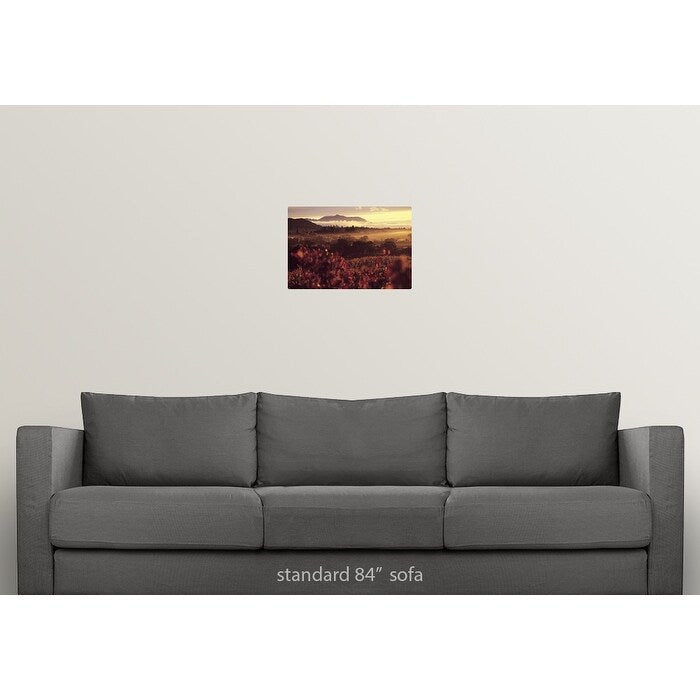 "Sunrise in Vineyards, Sonoma County, CA" Poster Print - Multi