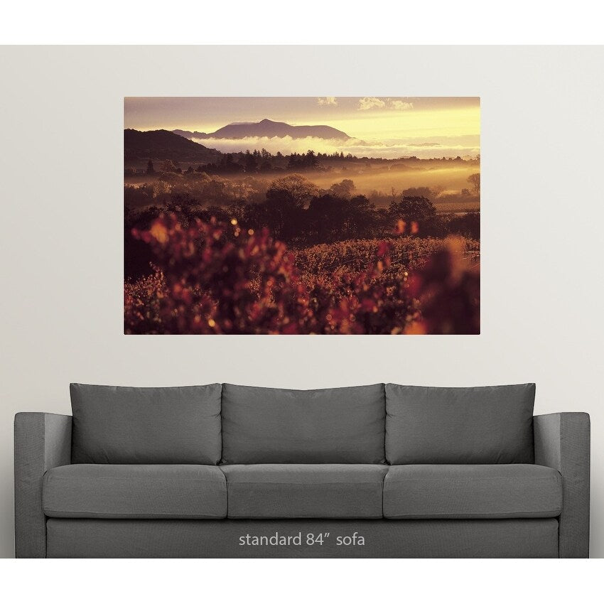 "Sunrise in Vineyards, Sonoma County, CA" Poster Print - Multi