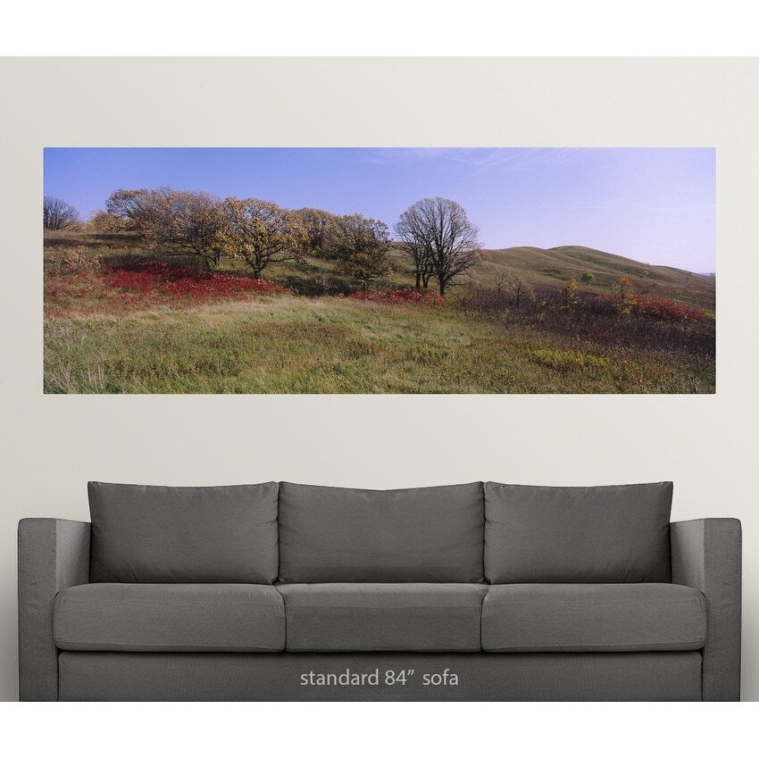"Trees and wild flowers on a landscape, Seven Sisters Prairie, Minnesota" Poster Print