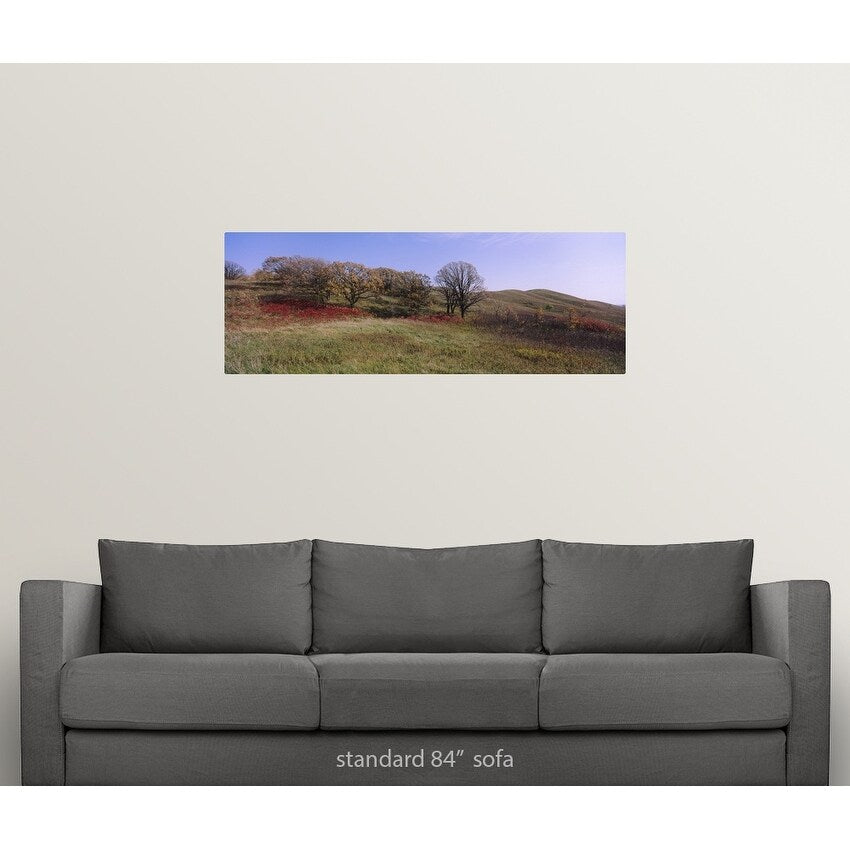"Trees and wild flowers on a landscape, Seven Sisters Prairie, Minnesota" Poster Print