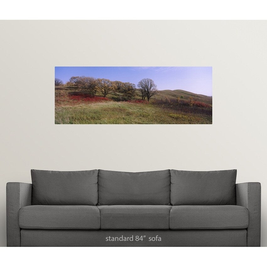 "Trees and wild flowers on a landscape, Seven Sisters Prairie, Minnesota" Poster Print