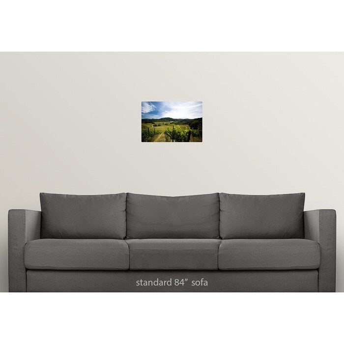 "Vineyard in Sonoma Valley, California" Poster Print - Multi