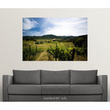 "Vineyard in Sonoma Valley, California" Poster Print - Multi