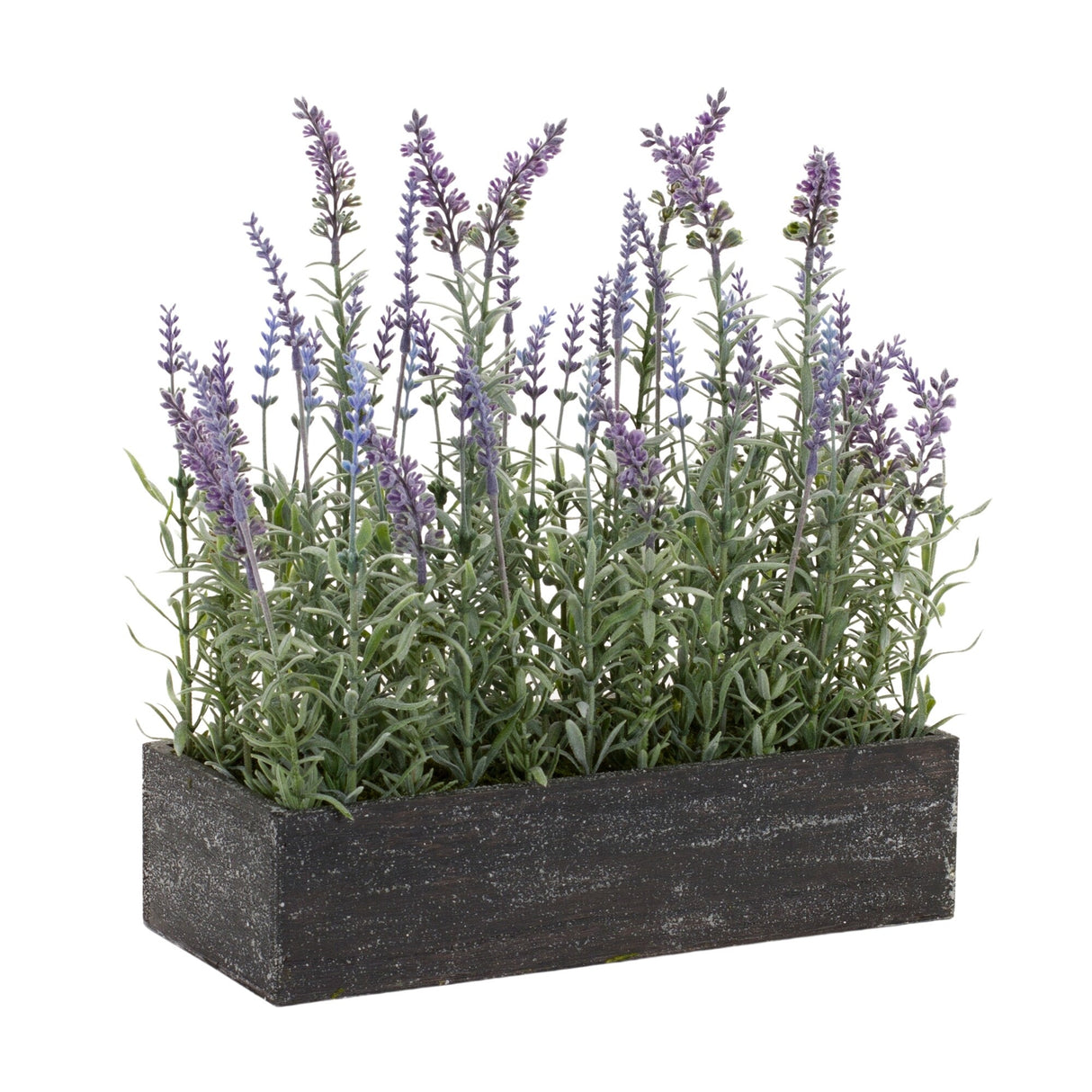 Potted Lavender (Set of 2) - 13.25 x 5.75 x 14.75