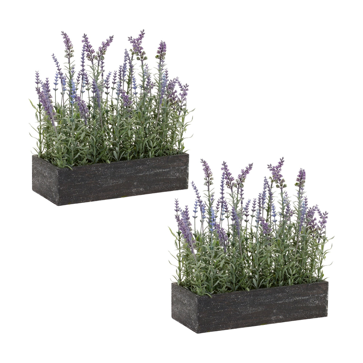 Potted Lavender (Set of 2) - 13.25 x 5.75 x 14.75