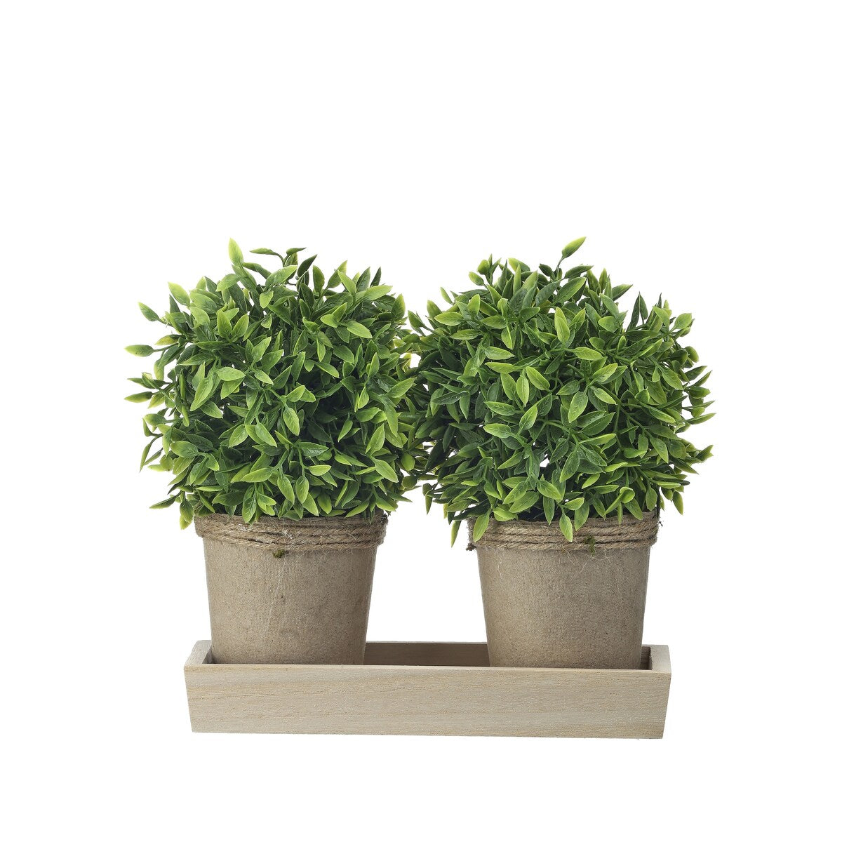 Potted Plastic Tealeaf Ball X2 On Wood Tray 10x8"T