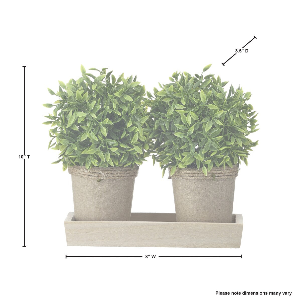 Potted Plastic Tealeaf Ball X2 On Wood Tray 10x8"T
