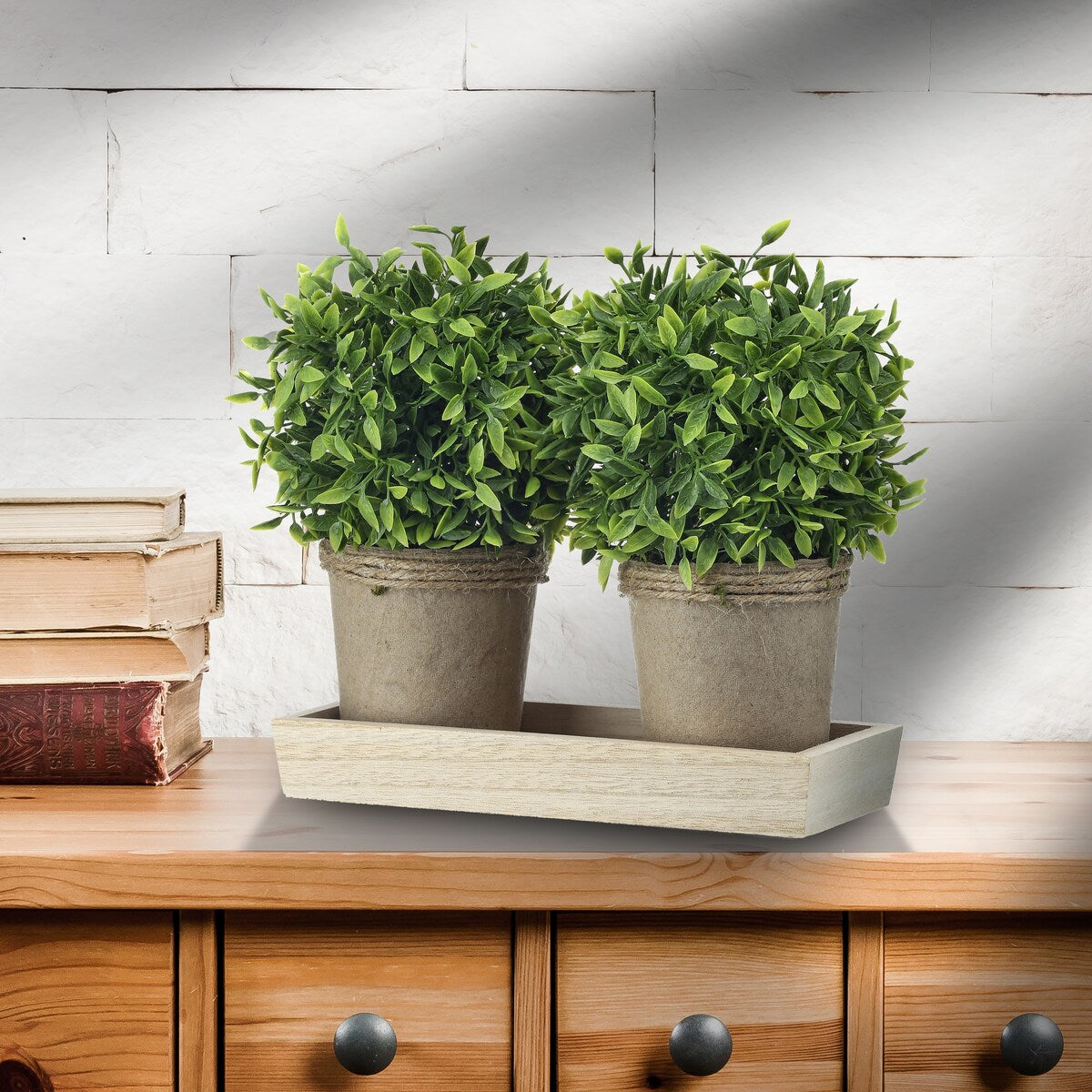 Potted Plastic Tealeaf Ball X2 On Wood Tray 10x8"T