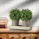 Potted Plastic Tealeaf Ball X2 On Wood Tray 10x8"T
