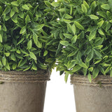 Potted Plastic Tealeaf Ball X2 On Wood Tray 10x8"T