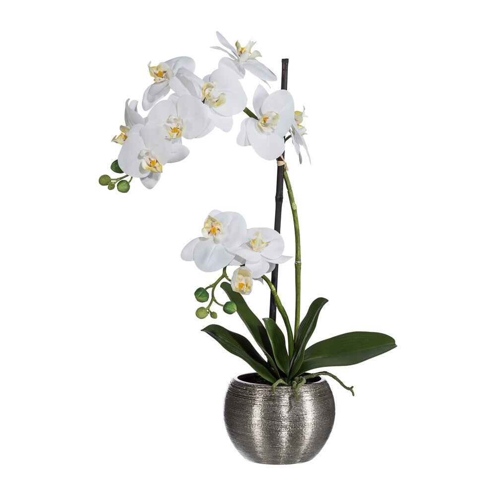 Premium Artificial White Orchid Phalaenopsis Including Textured Metallic-Silver Vase, 24 Inch