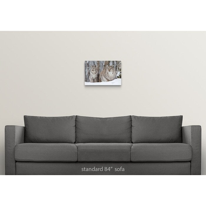 "A Lynx with her cub" Canvas Wall Art
